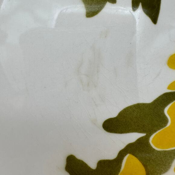 Vintage Dinner Plate in Flora Pattern by Mikasa Wall Art - Picture 6 of 8